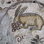Hare Mosaic
